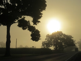 sun in fog