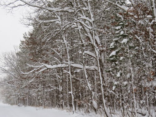 snowy road