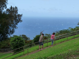 Expansive ocean views from Waipio Valley Lookout