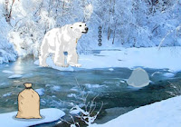 Play G2R Snow Polar Bear Forest Escape