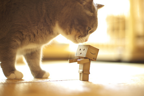 Danbo, Boneka Kardus Yang Menggemaskan [ www.BlogApaAja.com ]