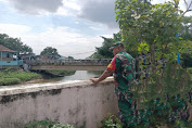 Siaga Banjir, Babinsa Koramil 01/Jatinegara Cek Arus Air Sungai Ciliwung