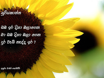 love poems background. love poems sinhala. love poems