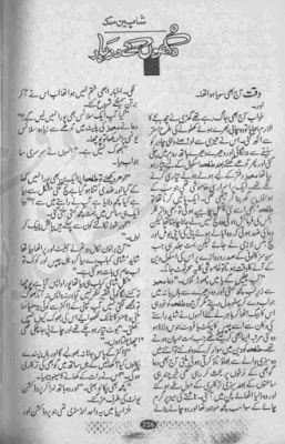 Dukhon ke darbar novel by Shaheen Malik pdf