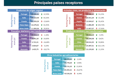 asesores económicos independientes 264-10 Francisco Javier Méndez Lirón