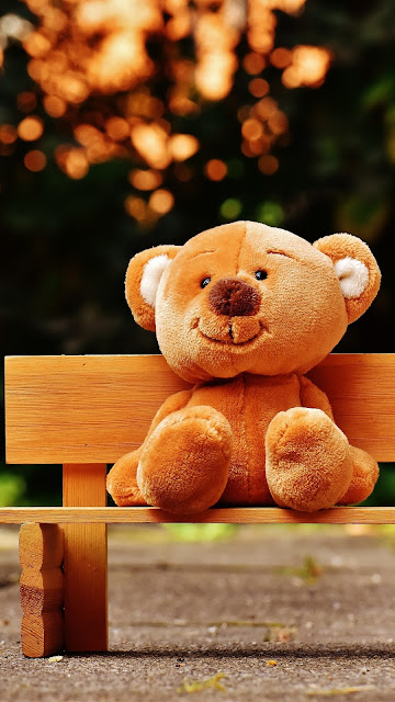 Teddy Bear Park Cute Bench Desktop Wallpaper