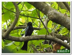 20110923_234231_012_YehLiu.54