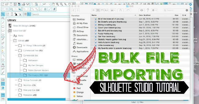 Download Bulk Importing Files Into Silhouette Studio Library - Silhouette School