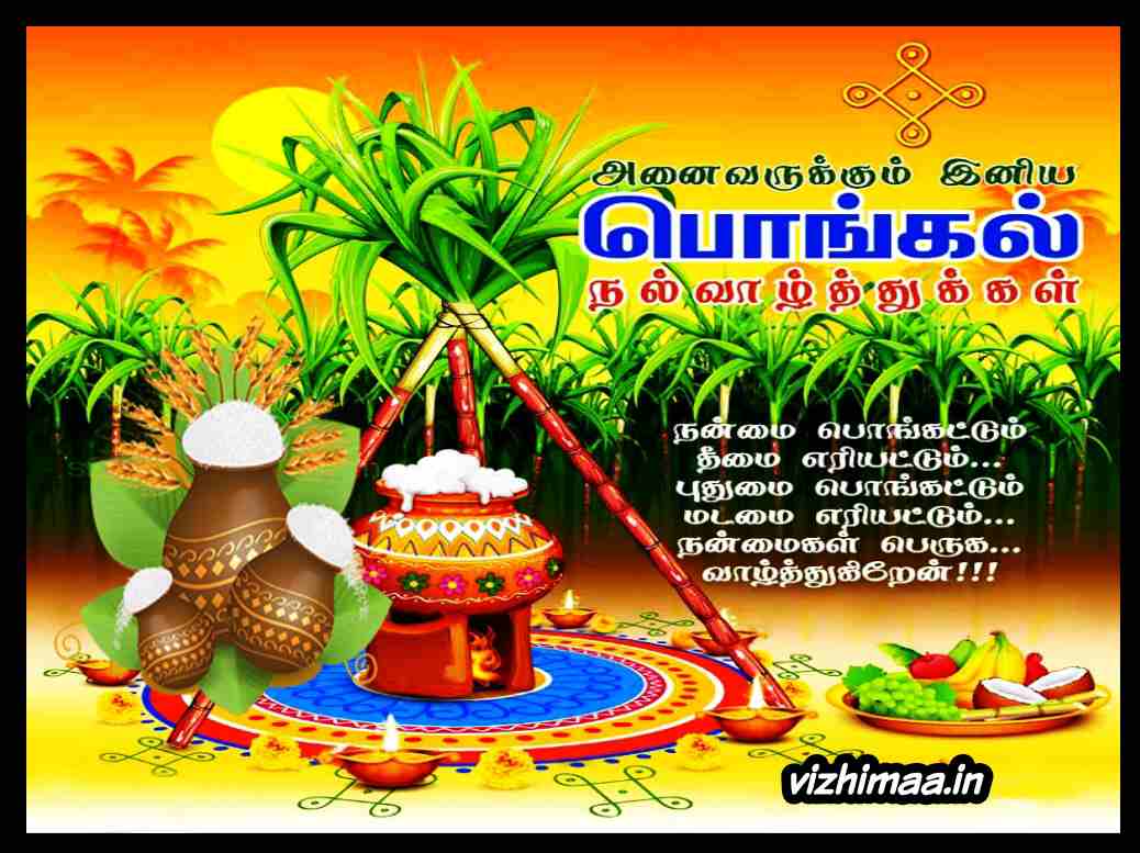 Pongal Wishes images in Tamil