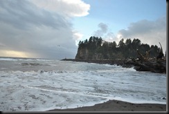 DSC_0107 DSC_0107