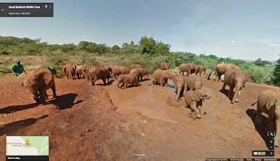 Resultado de imagem para Google Maps to â€œwander aroundâ€ the neighborhood in Nairobi, Kenya. 