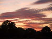 Fen Drayton