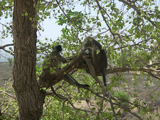 Chittorgarh