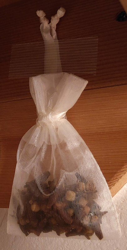 クローブでのゴキブリ対策 Iaoekaki