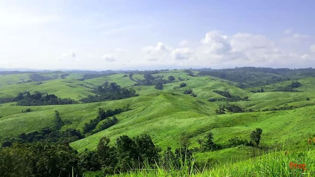 Wisata Bukit Seligi Melawi