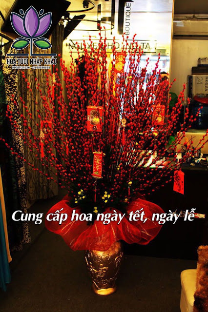 Cach cam nu hoa tam xuan don tet