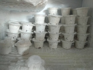 Resep dan Cara Membuat Es Krim Oreo Buatan Rumah (Homemade), es krim oreo
