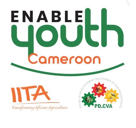 enable youth cameroon