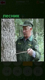 лесник измеряет объем дерева линейкой в форме в лесу