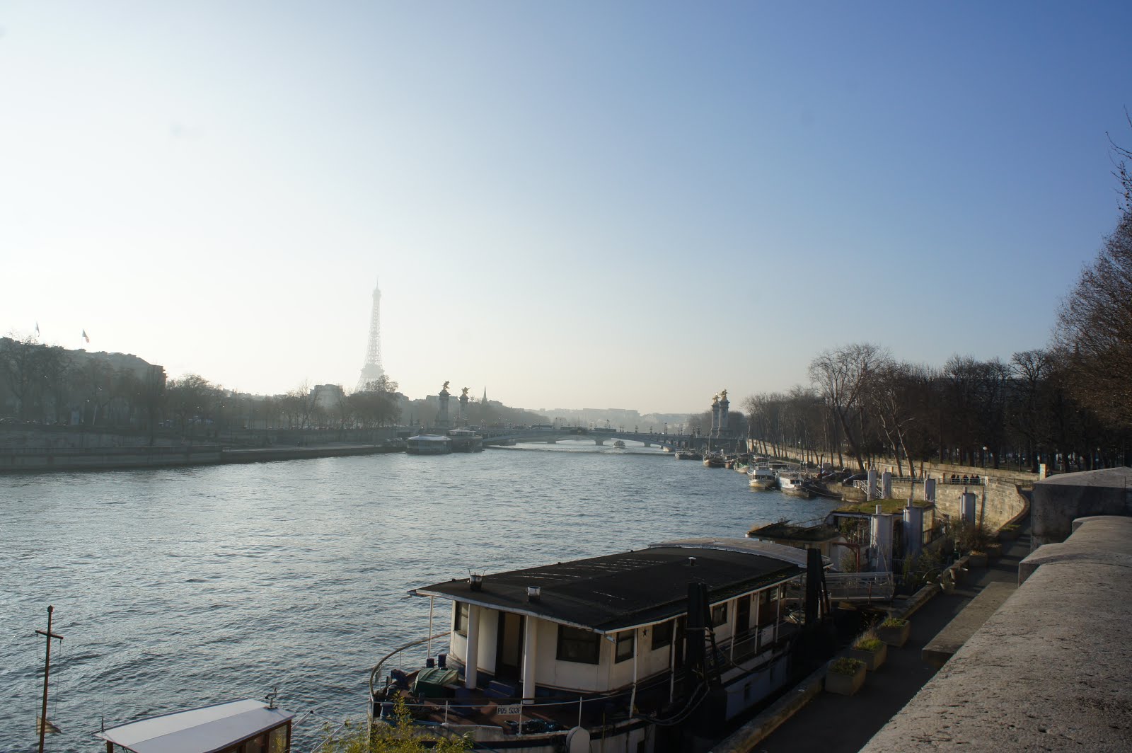 View of the Eiffel Tower and the Pont Alexandre III overlooking the Seine River in Paris