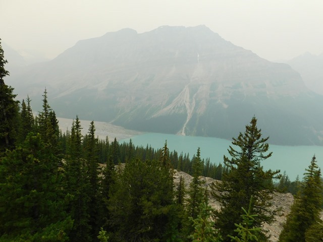 C121_CAN AL Banff NP_2018-08-14_DSCN2445