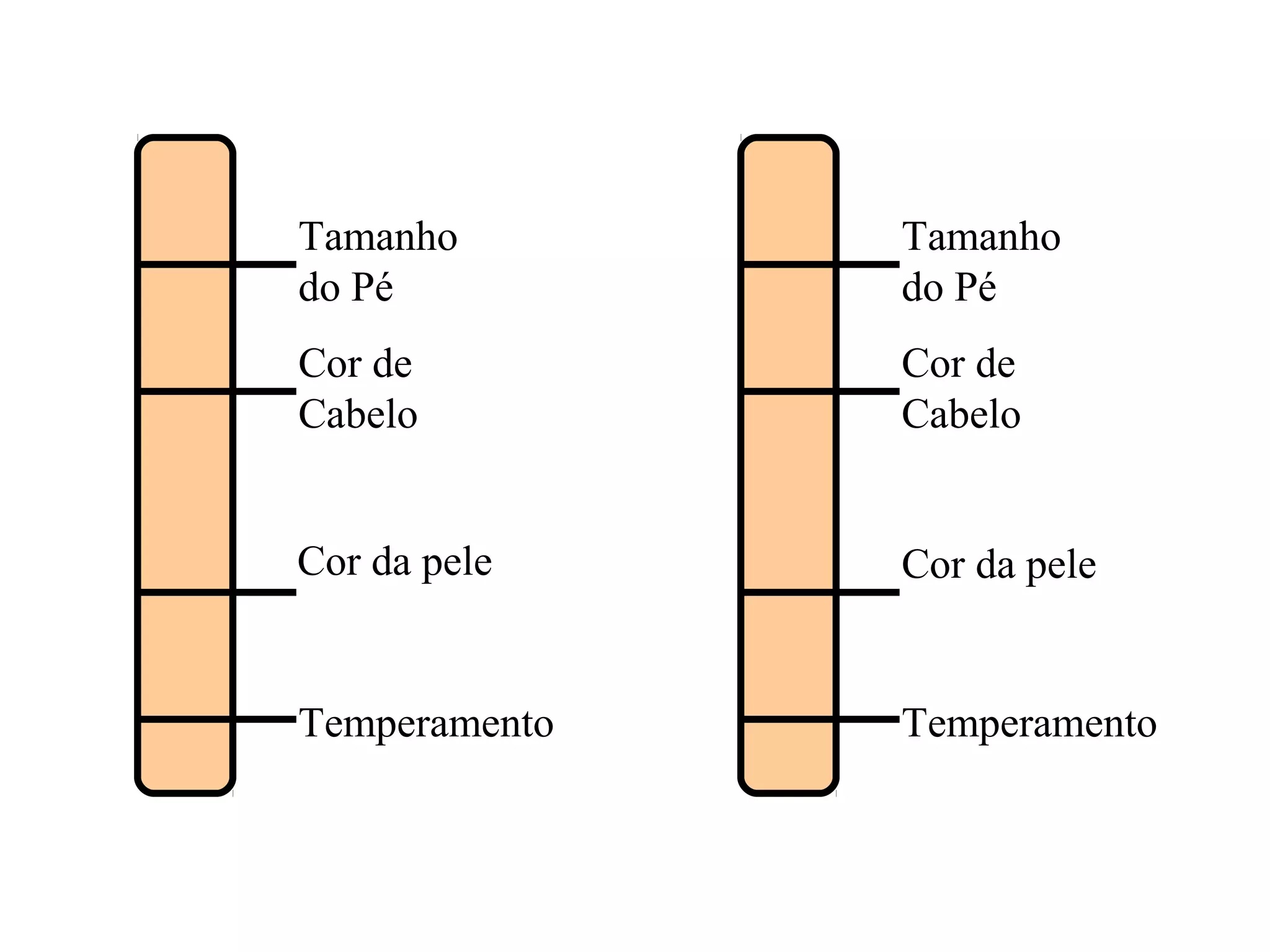 Introdução a genética resumo