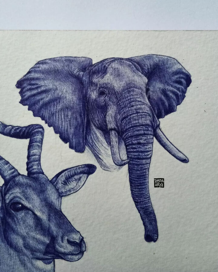 10-The-Nyala-and-the-Elephant-Ink-Drawings-Arya-Ramanda-www-designstack-co