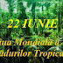 22 iunie: Ziua Mondială a Pădurilor Tropicale