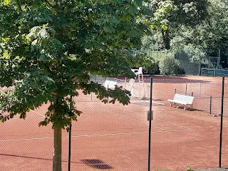 Co warto zobaczyć i jak spędzić czas w Bad Rothenfelde