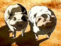 hybrid pigs