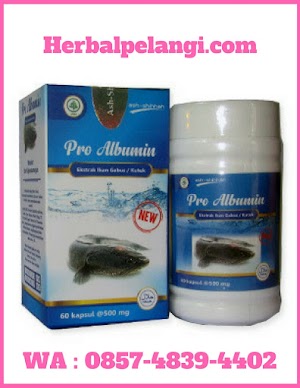 Jual Kapsul Pro Albumin Di Agam | WA : 0857-4839-4402