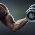 Cấu tạo cơ bắp và cách tập gym tăng cơ