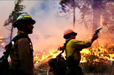 Firefighters creating firebreaks and using water hoses near the Kaibab Plateau to protect Grand Canyon North Rim Lodge.