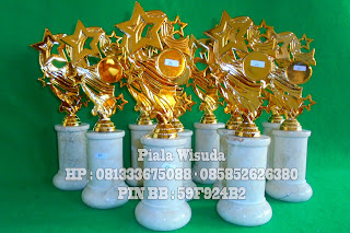 Distributor Trophy, Distributor Piala