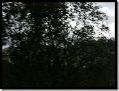 clip_image002