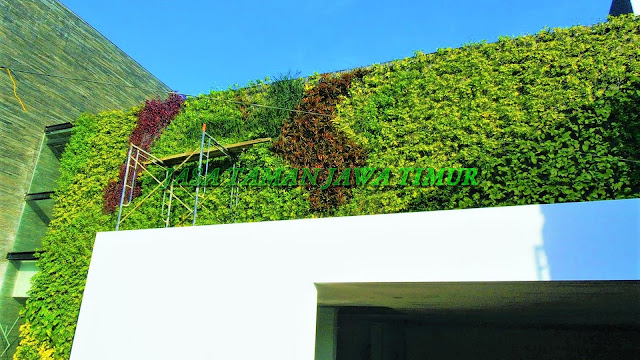 JASA TUKANG TAMAN VERTICAL SURABAYA, JASA PEMBUATAN VERTICAL GARDEN SURABAYA, JASA VERTICAL GARDEN SURABAYA BARAT, SURABAYA UTARA, SURABAYA TIMUR, SURABAYA SELATAN,  JASA PEMBUATAN TAMAN DINDING SURABAYA, JASA PEMBUATAN GREEN WALL SURABAYA, JASA PEMBUATAN ARTICIAL PLANT SURABAYA, JASA PEMBUATAN TAMAN VERTICAL GARDEN SINTETIS SURABAYA, HARGA PEMBUATAN VERTICAL GARDEN DI SURABAYA, GAMBAR VERTICAL GARDEN SURABAYA, KONSEP VERTICAL GARDEN SURABAYA, JASA TUKANG TAMAN VERTICAL GARDEN MURAH DI SURABAYA, JASA PEMBUATAN VERTICAL GARDEN INDOOR, JASA PEMBUATAN VERTICAL GARDEN OAUTDOOR, segera hubungi kami untuk mendapatkan pelayanan terbaik, roof garden murah, roof garden design, roof garden minimalis, roof garden sederhana, roof garden detail, roof garden medan, roof garden semarang, drainasecell roof garden, versicel roof garden, roof garden indonesia, roof garden jakarta, roof garden system, roof garden, roof garden adalah, drainasecell, versicell, alat roof garden, cara membuat roof garden, peralatan roof garden, roof top, top roof garden, taman dak atas, cara membuat taman dak, taman atap roof garden, taman roof garden, roof garden apartment, tukang taman vertikal, vertikal garden murah, vertikal garden sederhana, vertikal garden jakarta, tukang taman vertical, vertical garden murah, vertical garden sederhana, vertical garden jakarta, tukang taman vertikal di cibubur, tukang taman vertikal bintaro, tukang taman vertikal tangerang, tukang taman vertikal jakarta, tukang taman vertikal serpong, tukang taman vertikal jakarta , tukang taman vertikal bekasi, tukang taman vertikal di bintaro, tukang taman vertikal semarang, tukang taman vertikal pekalongan, tukang taman vertikal batang, tukang, taman vertikal cirebon, tukang taman vertikal karawang, tukang taman vertikal surabaya, tukang taman vertikal solo, tukang taman vertikal yogyakarta, tukang taman vertikal bali, tukang taman vertikal medan, tukang taman vertikal batam, tukang taman vertikal jakarta timur, tukang taman vertikal jakarta pusat, tukang taman vertikal jakarta selatan, tukang taman vertikal jakarta barat, tukang taman vertikal jakarta utara, tukang taman vertikal tangerang, tukang taman vertikal serpong, tukang taman vertikal perumahan, tukang taman vertikal murah, tukang taman vertikal kalimantan, tukang taman vertikal makssar, tukang taman vertikal papua, tukang taman vertikal Lombok, vertikal sederhana, taman vertikal paralon, taman vertikal jakarta, taman vertikal pdf, taman vertikal dari botol bekas, taman vertikal murah, taman vertikal rumah minimalis, taman vertikal adalah, taman vertikal dalam rumah, taman vertikal, taman vertikal minimalis, taman vertikal anggrek, taman vertikal botol, taman vertikal di bandung, taman vertikal menggunakan botol bekas, taman vertikal dari batu bata, biaya taman vertikal, buat taman vertikal, contoh taman vertikal, cara taman vertikal, contoh taman vertikal garden, taman vertikal di rumah, taman vertikal di lahan sempit, taman vertikal di dinding, taman vertikal dinding, taman vertikal dengan paralon, taman vertikal depok, fungsi taman vertikal, foto taman vertikal, taman vertikal garden, taman gantung vertikal, gambar taman vertikal minimalis, cara membuat taman vertikal garden, gambar taman vertikal, griya taman vertikal, desain taman vertikal garden, taman vertikal hidroponik, taman vertikal harga, harga taman vertikal murah, taman vertikal indonesia, taman vertikal indoor, taman vertikal italia, ide taman vertikal