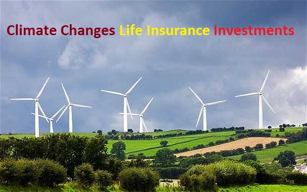 life insurance investment