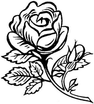 Flower Coloring Sheets on Rose Flower Coloring Page Pictures   Coloring