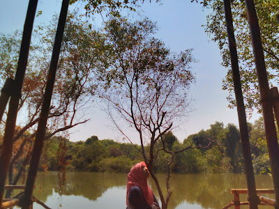 mangrove Wonorejo Surabaya