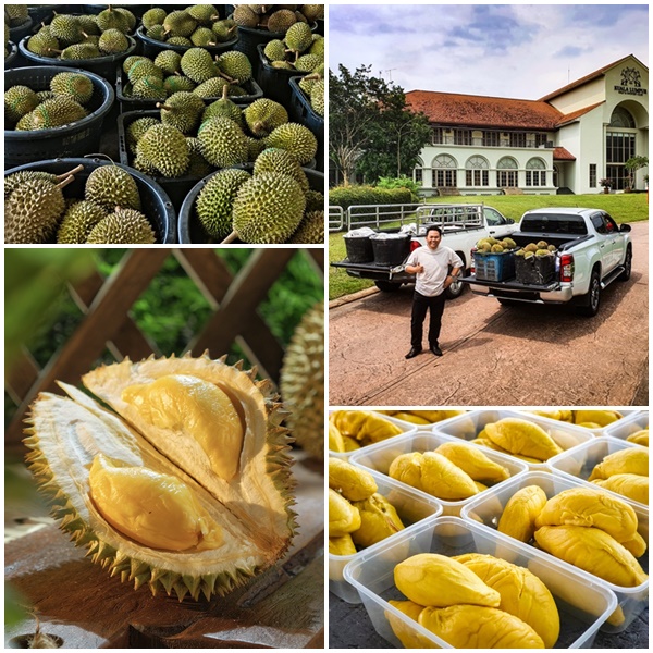 TIKET MASUK ‘SUPER EARLY BIRD’ KE FESTIVAL DURIAN MAKAN SEPUAS HATI 2023 HABIS DIJUAL