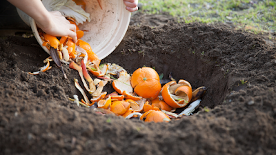 compost vegetable peelings for compost