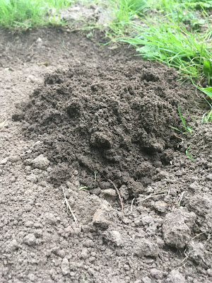 terre meuble à donner !