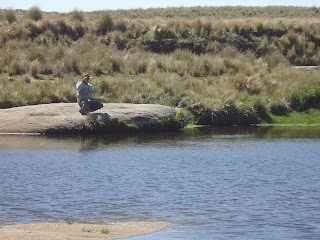 Fly Fishing fontinalis brook trout truchas cordoba argentina