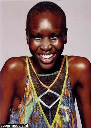 alek wek boyfriend. alek wek model.