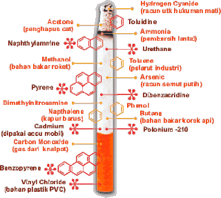 akibat Rokok-merokok