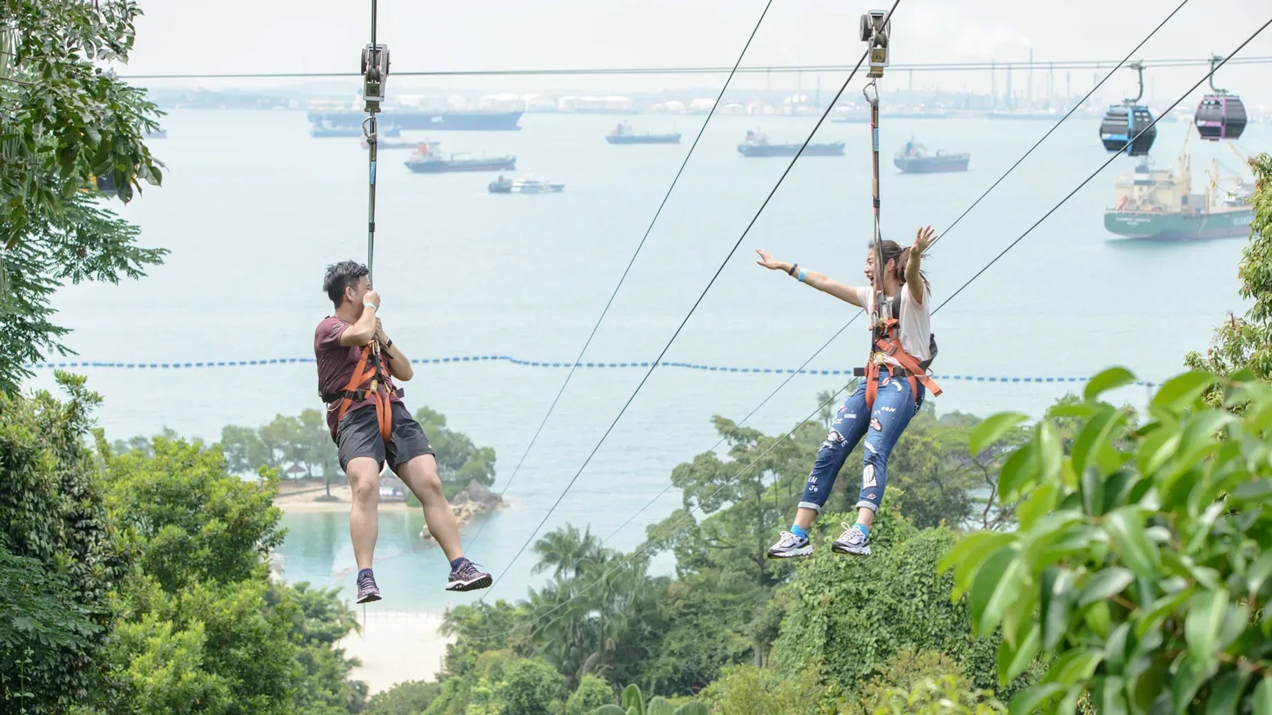 Fly High and Zip Away at MegaZip Adventure Park