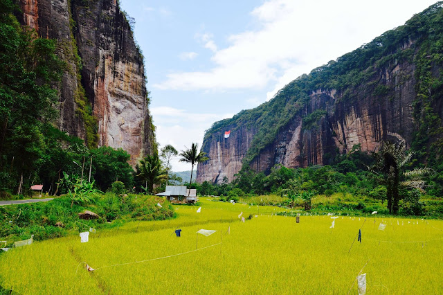 Nằm ở Tây Sumatra ở Indonesia, Harau Valley là một trong những cảnh quan thiên nhiên đẹp nhất mà bạn nên đến một lần trong đời. Khi thám hiểm thung lũng này, bạn sẽ đi qua nhiều dãy núi hình thành đá với những cánh rừng và đồng lúa rộng lớn.