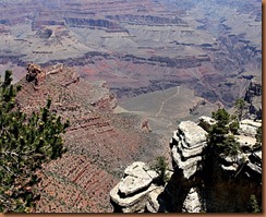 IMG_0108-1