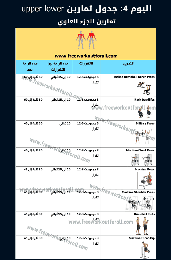 جدول تمارين upper lower بالصور