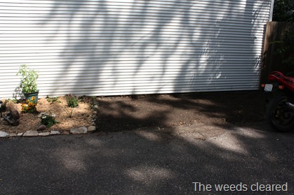 raised beds